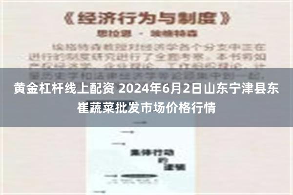 黄金杠杆线上配资 2024年6月2日山东宁津县东崔蔬菜批发市场价格行情