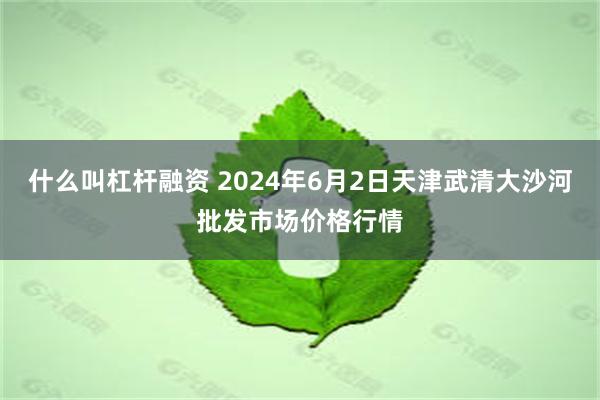 什么叫杠杆融资 2024年6月2日天津武清大沙河批发市场价格行情