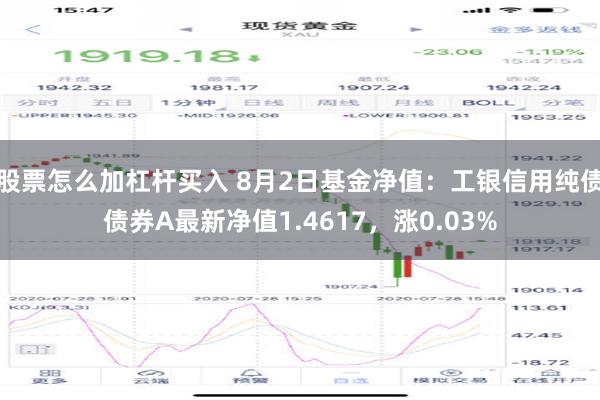 股票怎么加杠杆买入 8月2日基金净值：工银信用纯债债券A最新净值1.4617，涨0.03%