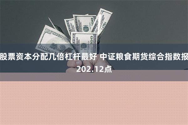 股票资本分配几倍杠杆最好 中证粮食期货综合指数报202.12点