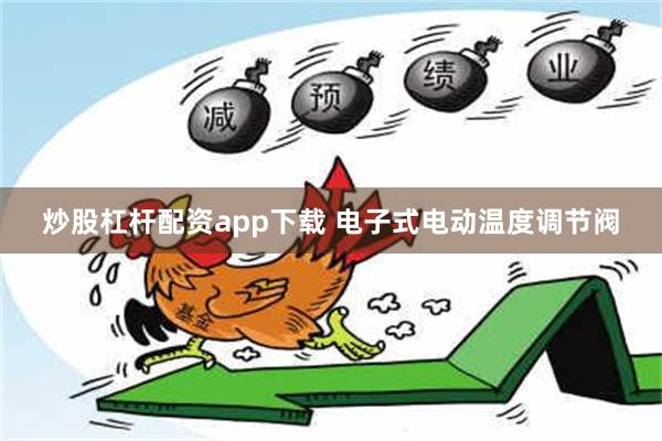 炒股杠杆配资app下载 电子式电动温度调节阀