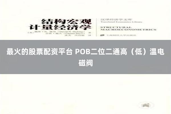 最火的股票配资平台 POB二位二通高（低）温电磁阀