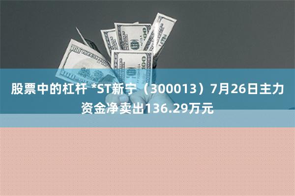 股票中的杠杆 *ST新宁（300013）7月26日主力资金净卖出136.29万元