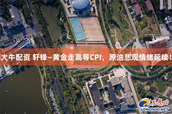 大牛配资 轩锋—黄金走高等CPI，原油悲观情绪延续！