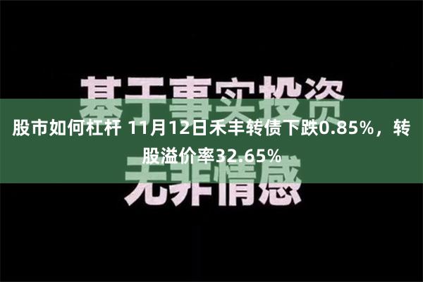 股市如何杠杆 11月12日禾丰转债下跌0.85%，转股溢价率32.65%